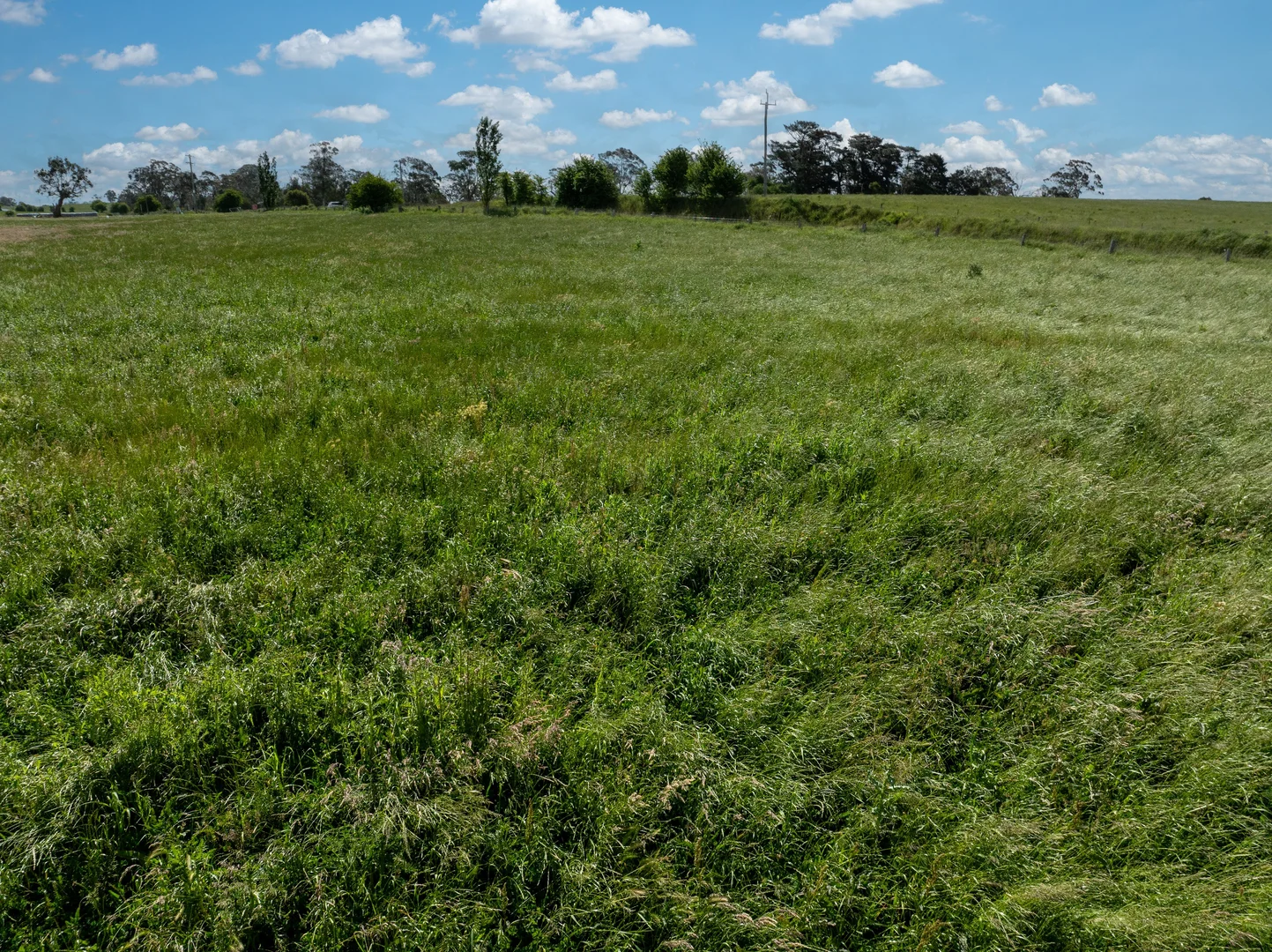 Additional image 10 of 49 Eves Lane, Millthorpe NSW 2798