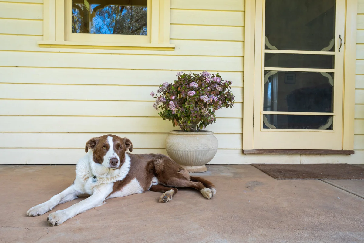 Additional image 12 of 108 Delaneys Lane, Hansonville VIC 3675