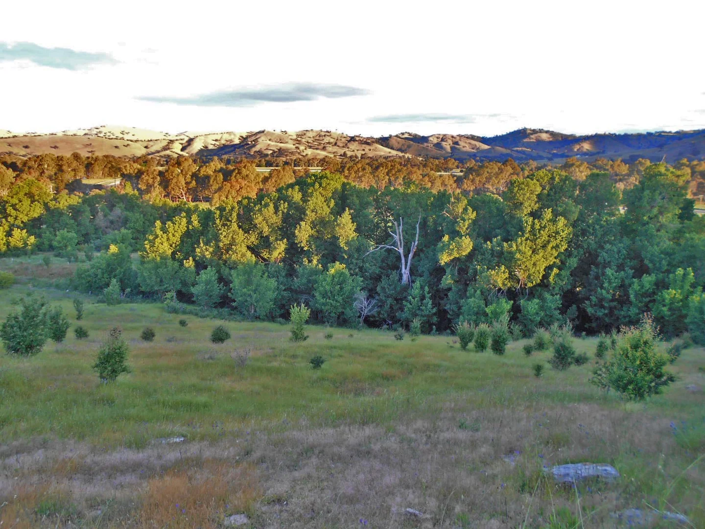 Additional image 24 of 30 Hanley & Moon Street, Gundagai NSW 2722