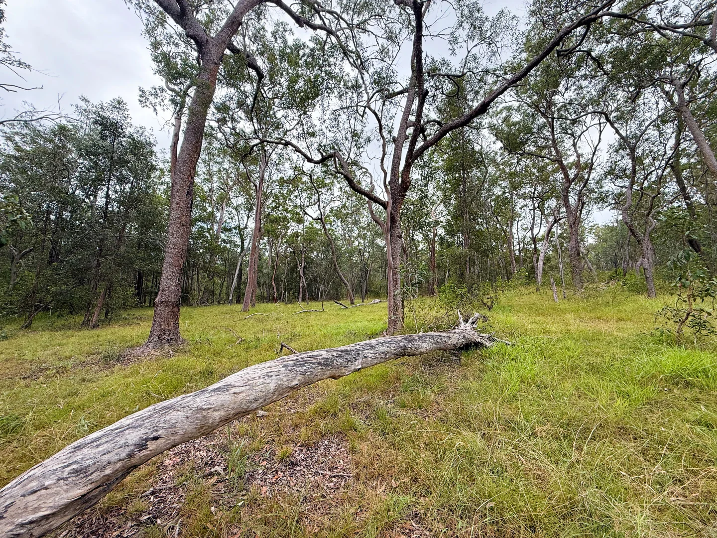 Additional image 2 of Lot 10/931 Nearum Road, Nearum QLD 4671