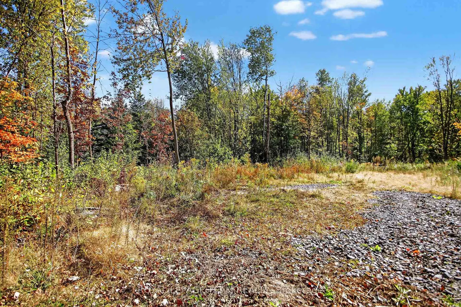 Additional image 3 of 10586 Seibert Road