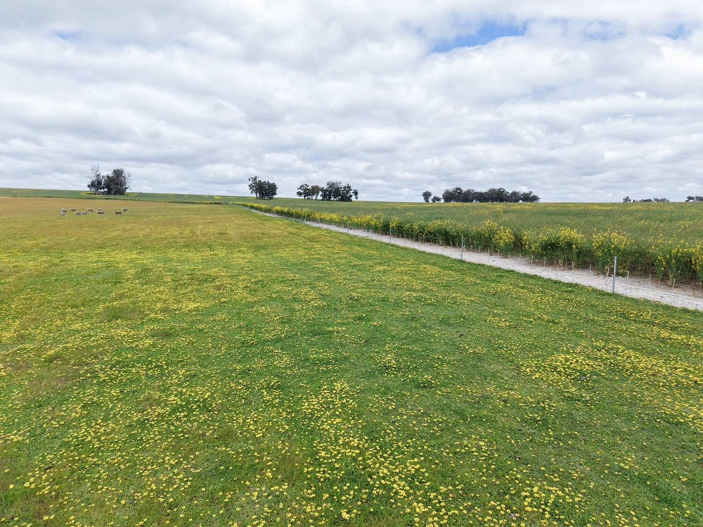 Additional image 21 of 495 Narlingup Road, Qualeup WA 6394