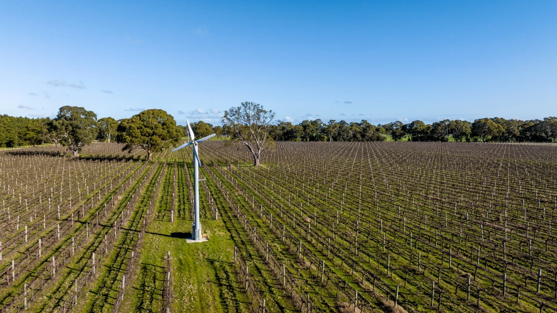 Additional image 13 of 719 Casterton Road, Penola SA 5277