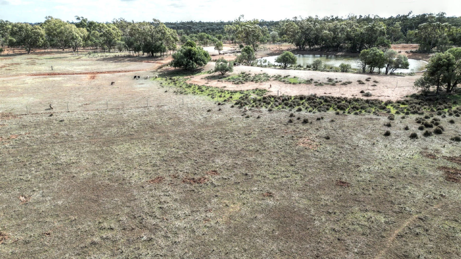 Additional image 10 of "Nardoo" Station 872 Davidson Road, Gunderbooka NSW 2840