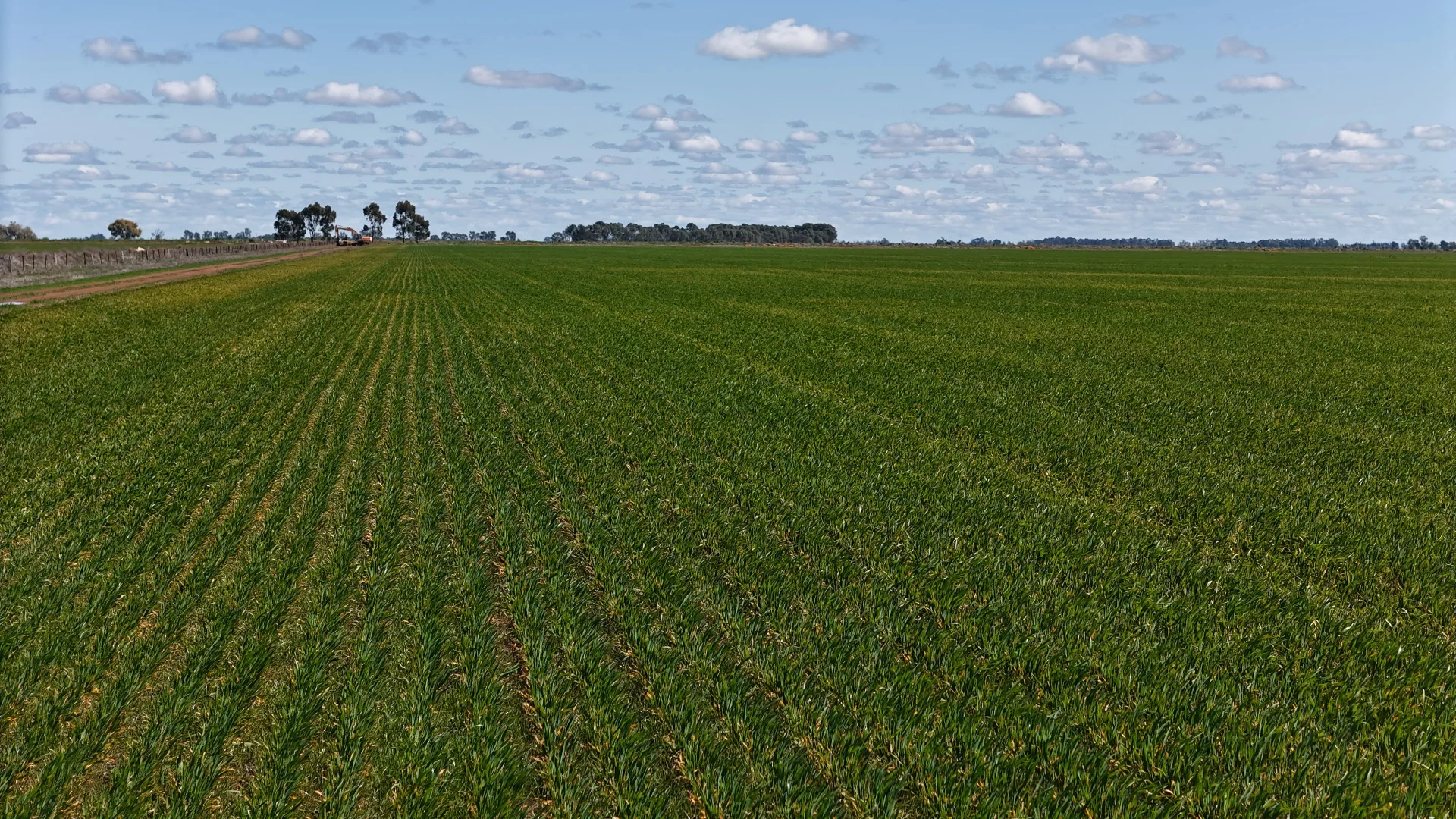 Additional image 12 of 69-70 Leonard Road, Coleambally NSW 2707