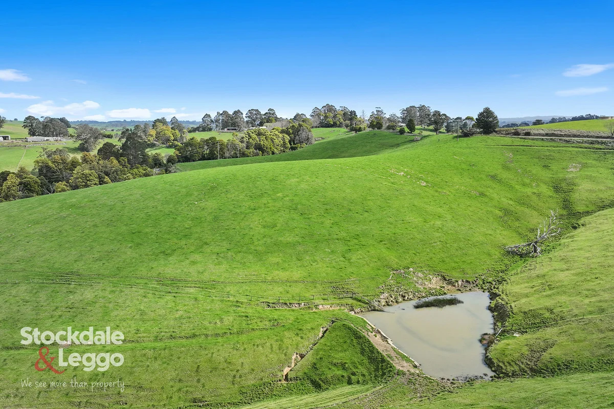 Additional image 38 of 156 Sheens Road, Mirboo North VIC 3871