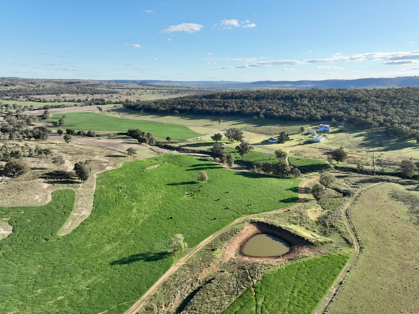 Additional image 9 of "Jemalong" 263 Collier Road, Coolah NSW 2843