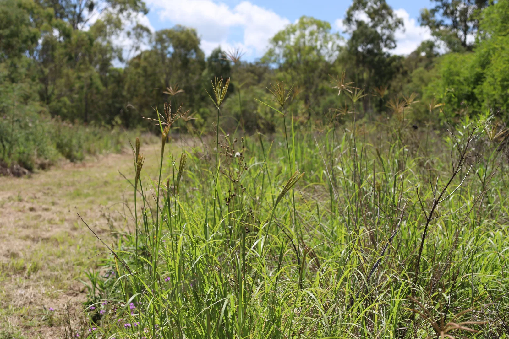 Additional image 2 of 349 Paul Holznagel Road, Murgon QLD 4605