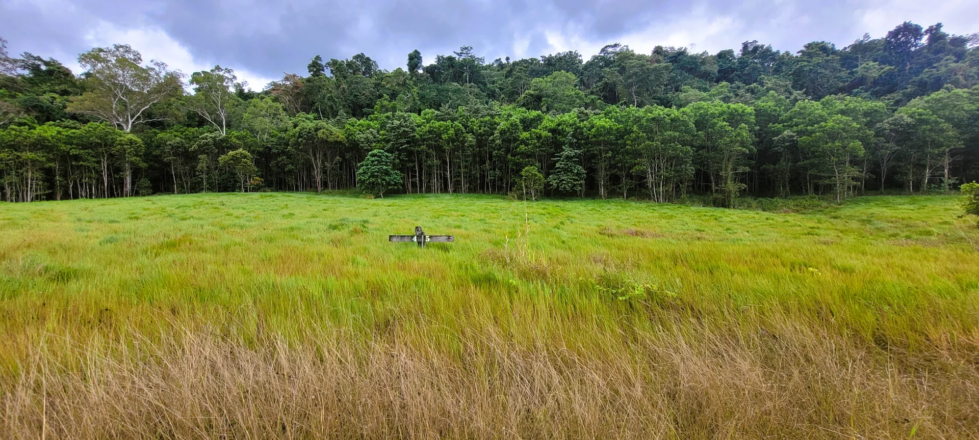 Additional image 17 of Lot 125 Mount Cudmore Road, Bemerside QLD 4850