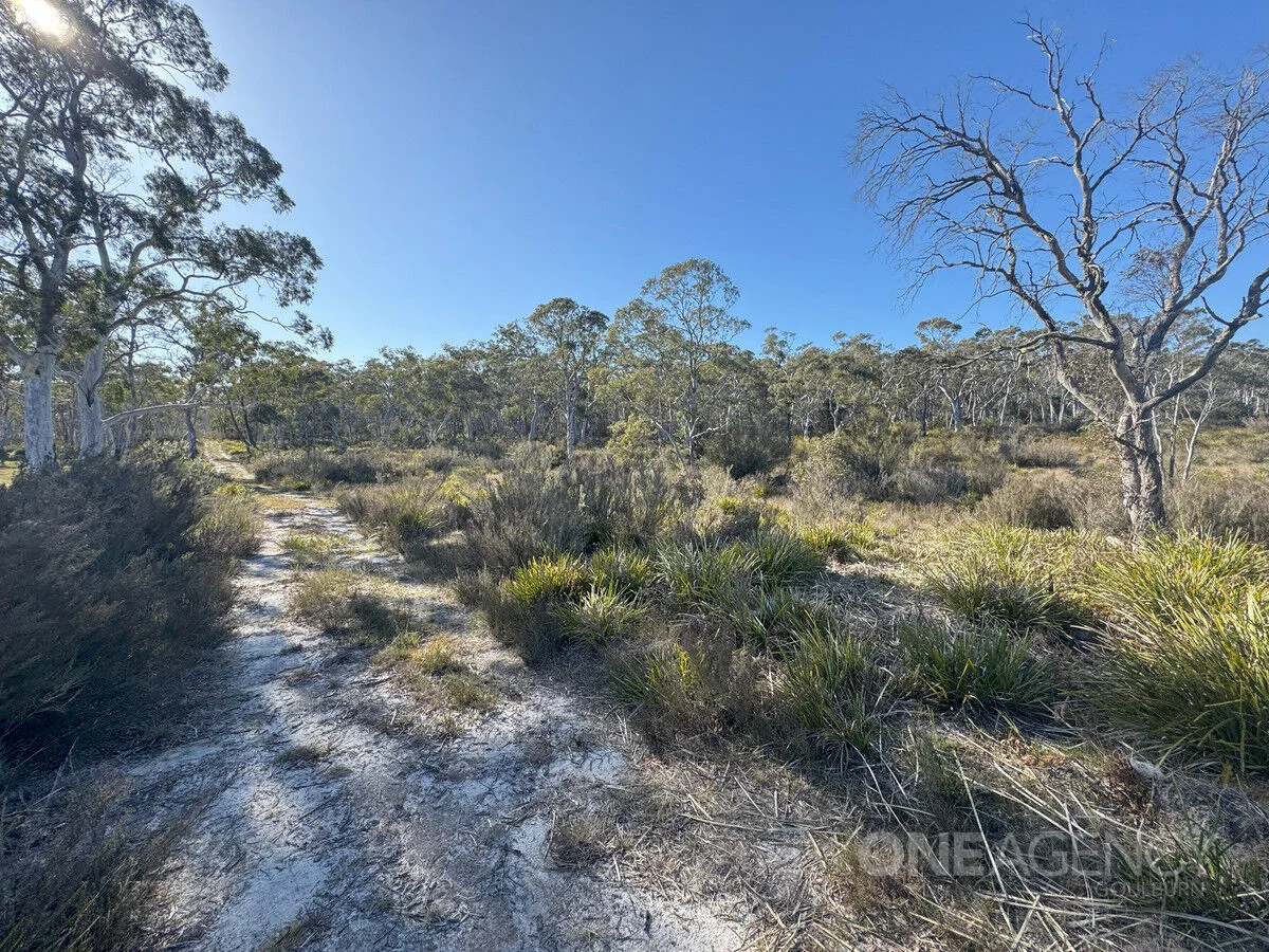 Additional image 4 of 1588 Oallen Ford Road, Oallen NSW 2622