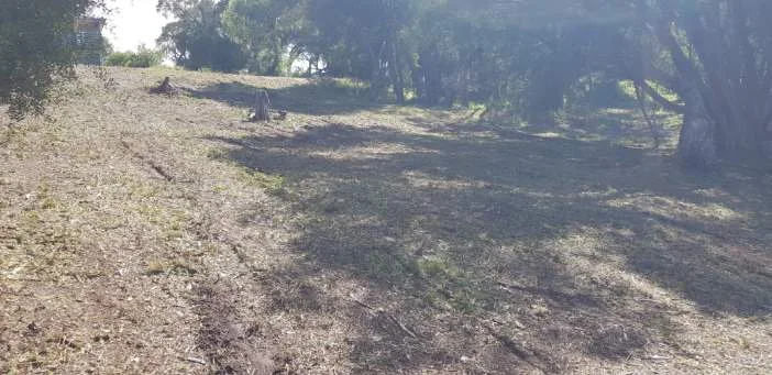 Additional image 7 of 18 Bellbird Street, Loch Sport VIC 3851