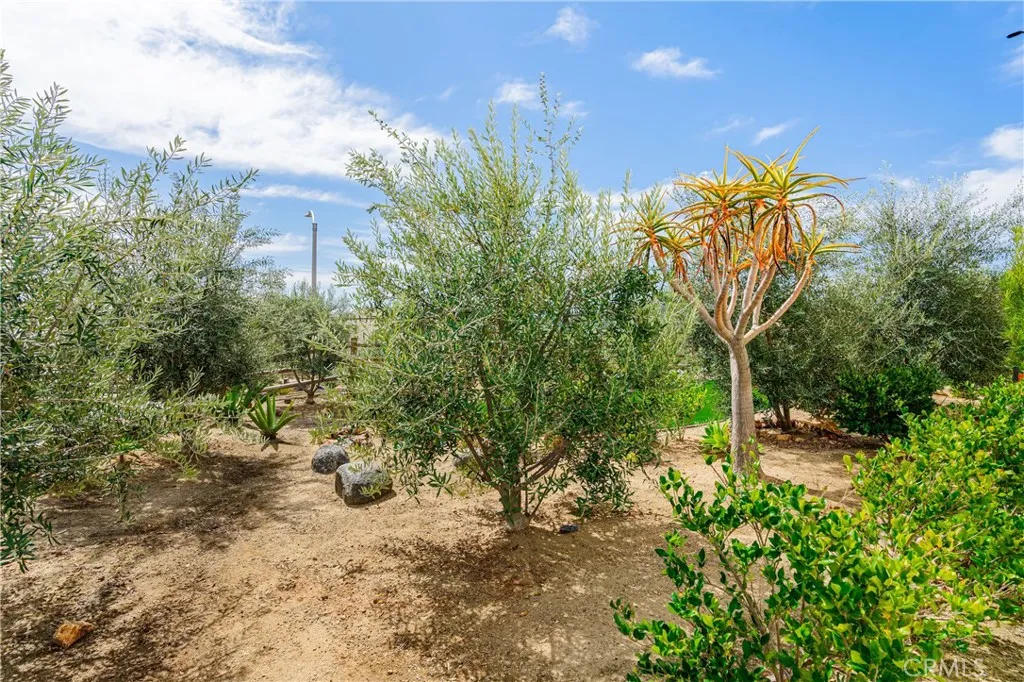 Additional image 58 of 35103 Vintage Cove Cv, Fallbrook, CA 92028