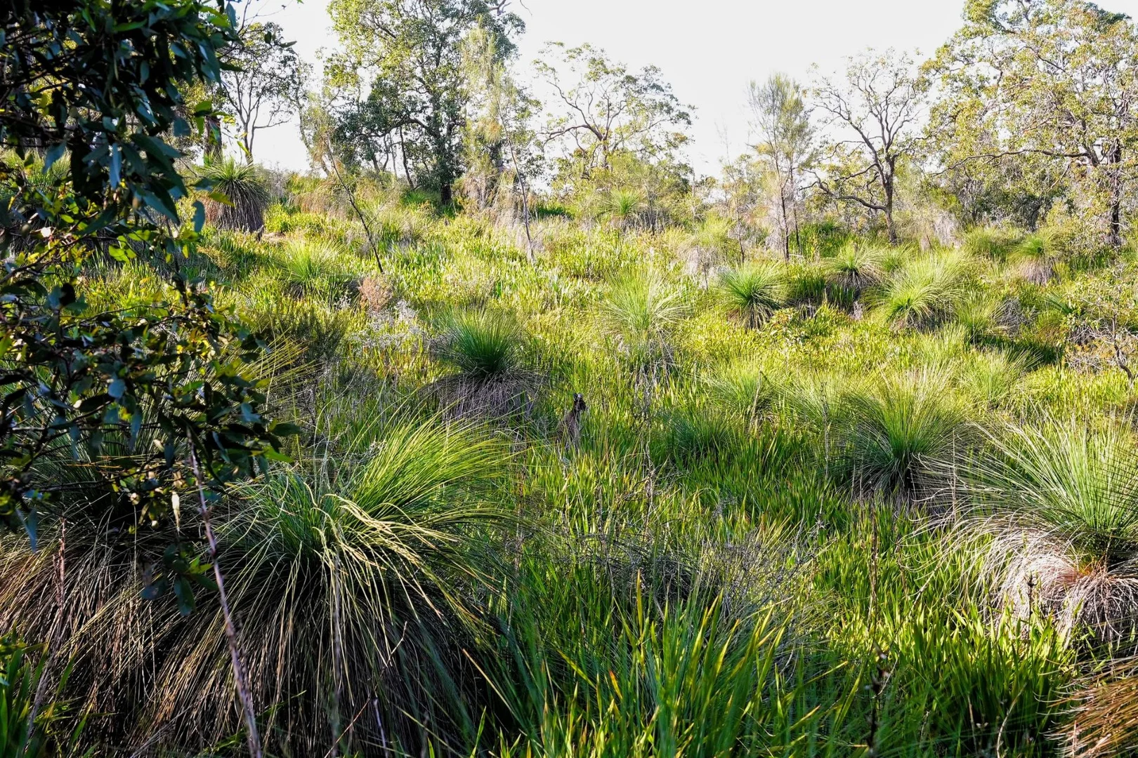 Additional image 8 of 245 Pechey Road, Swan View WA 6056