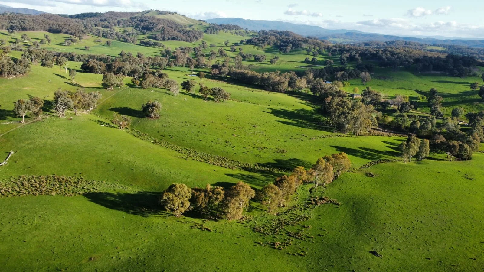 Additional image 2 of 409 McInnes Lane, Bobinawarrah VIC 3678