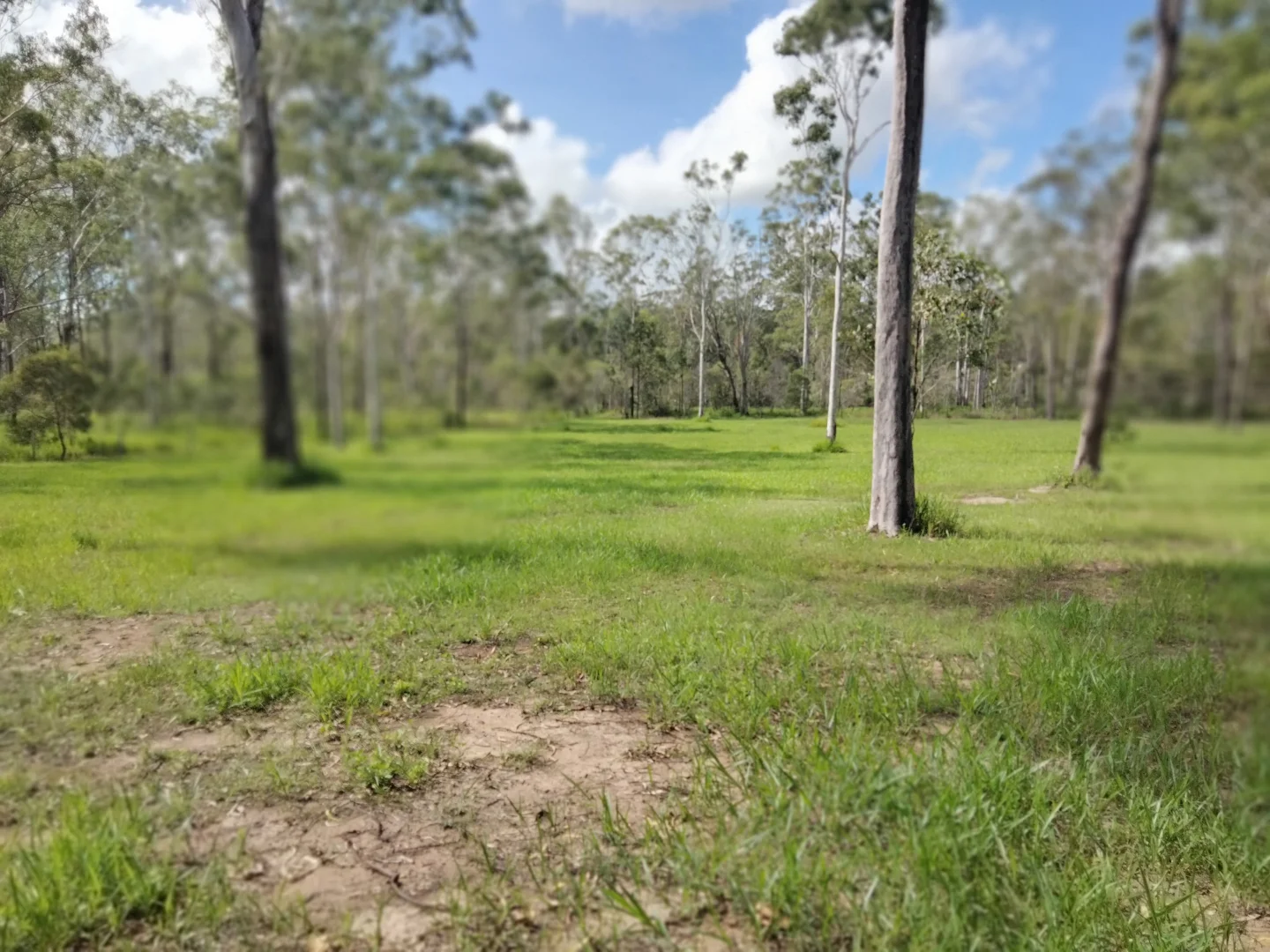 Additional image 26 of 30 Billabong Way, Bucca QLD 4670