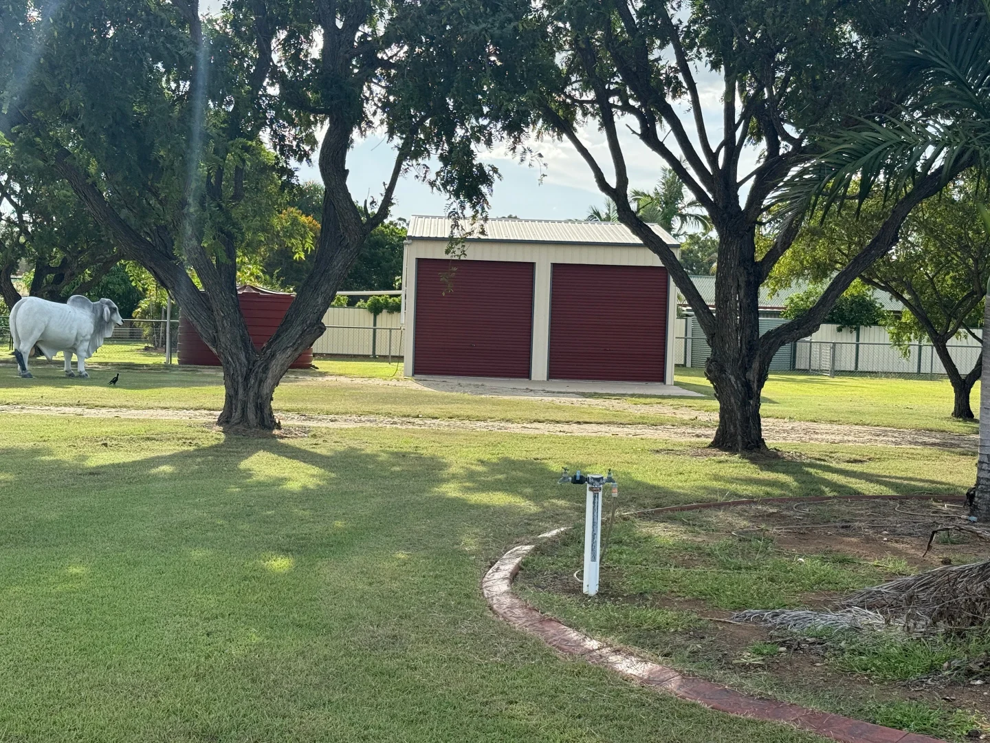 Additional image 18 of 48 Washpool Road, Gracemere QLD 4702