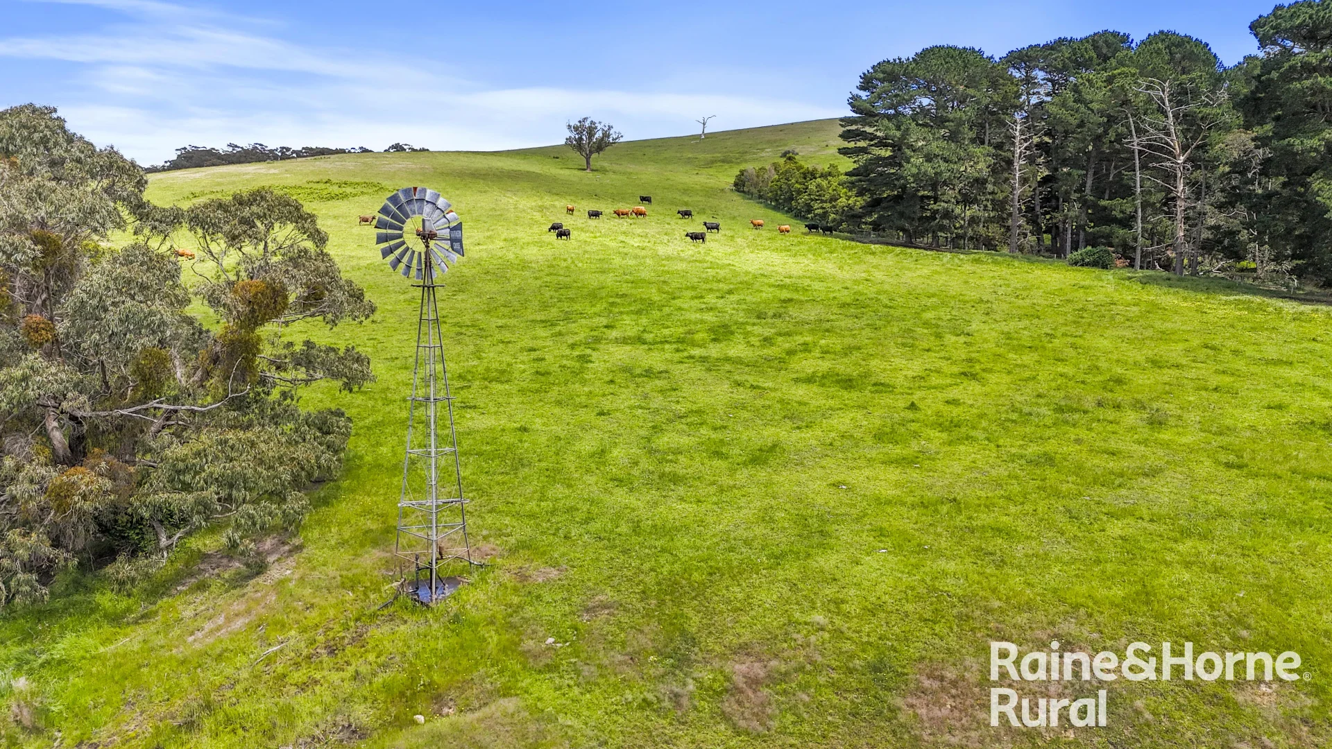 Additional image 32 of 83 Cressbrook Road, Hindmarsh Valley SA 5211