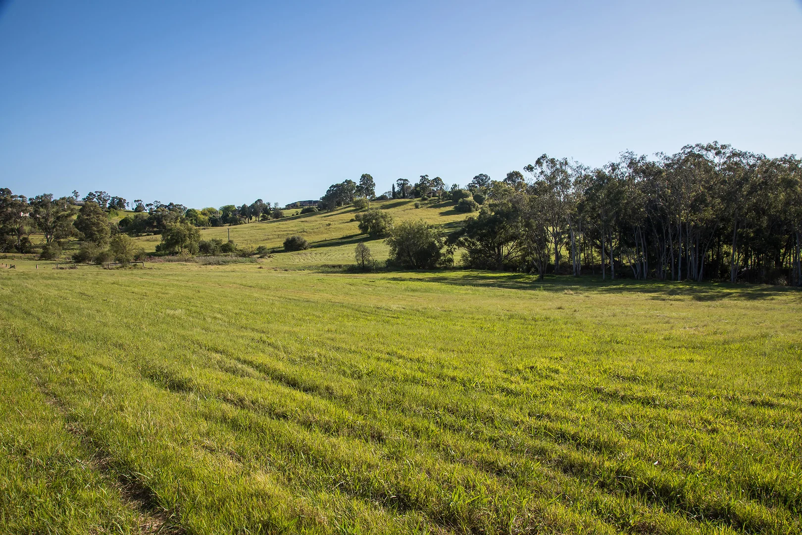 Additional image 7 of 450 Menangle Road, Menangle NSW 2568