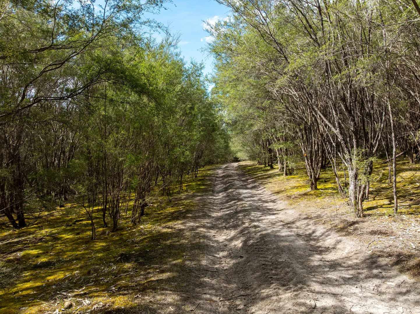 Additional image 9 of 368 Rubicon Road, Rubicon VIC 3712