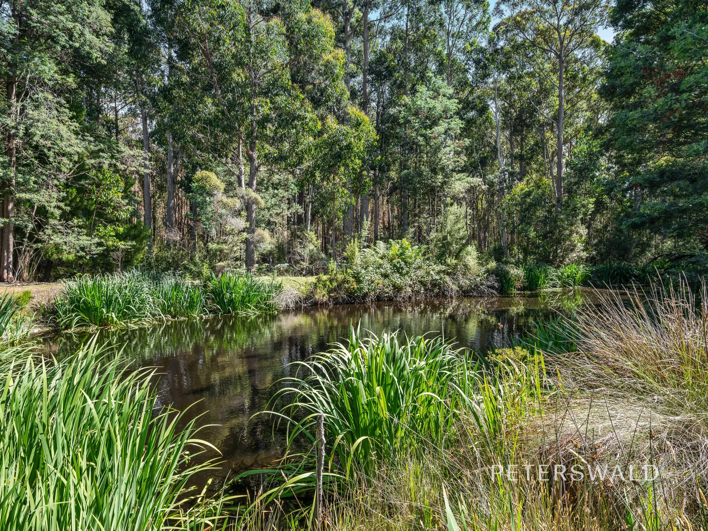 Additional image 32 of 113 Manuka Road, Oyster Cove TAS 7150