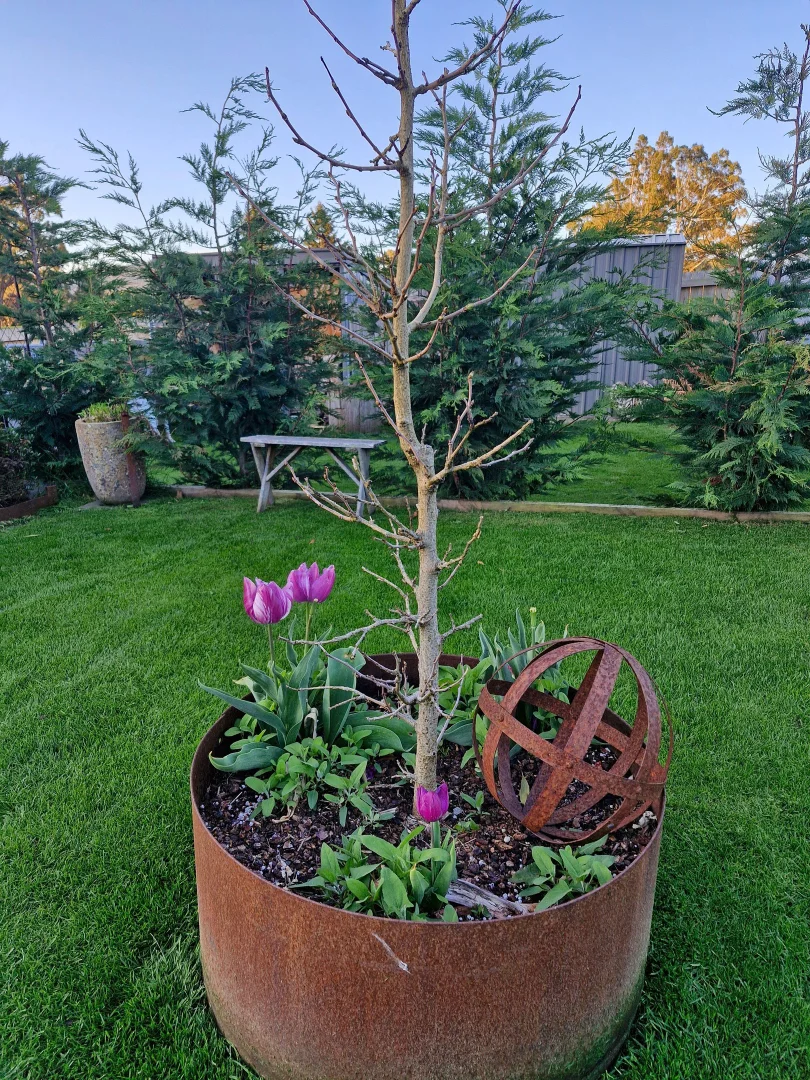 Additional image 5 of 41 Gray Road, St Marys TAS 7215