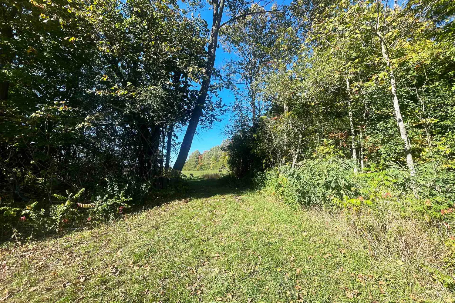 Additional image 9 of 00 Jamieson Road Lot C