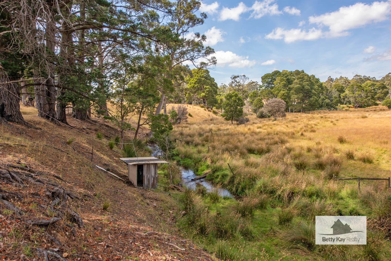 Additional image 3 of 976 Mengha Road, Mengha TAS 7330