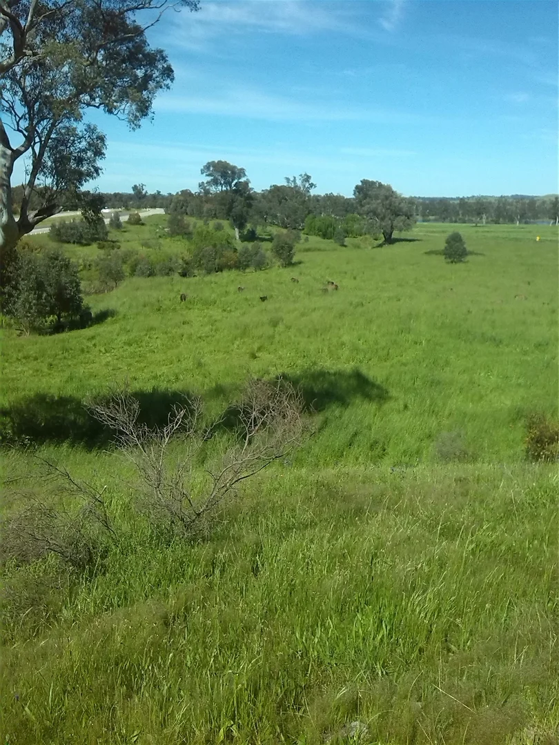 Additional image 22 of 3924 Hume Highway, Tarcutta NSW 2652