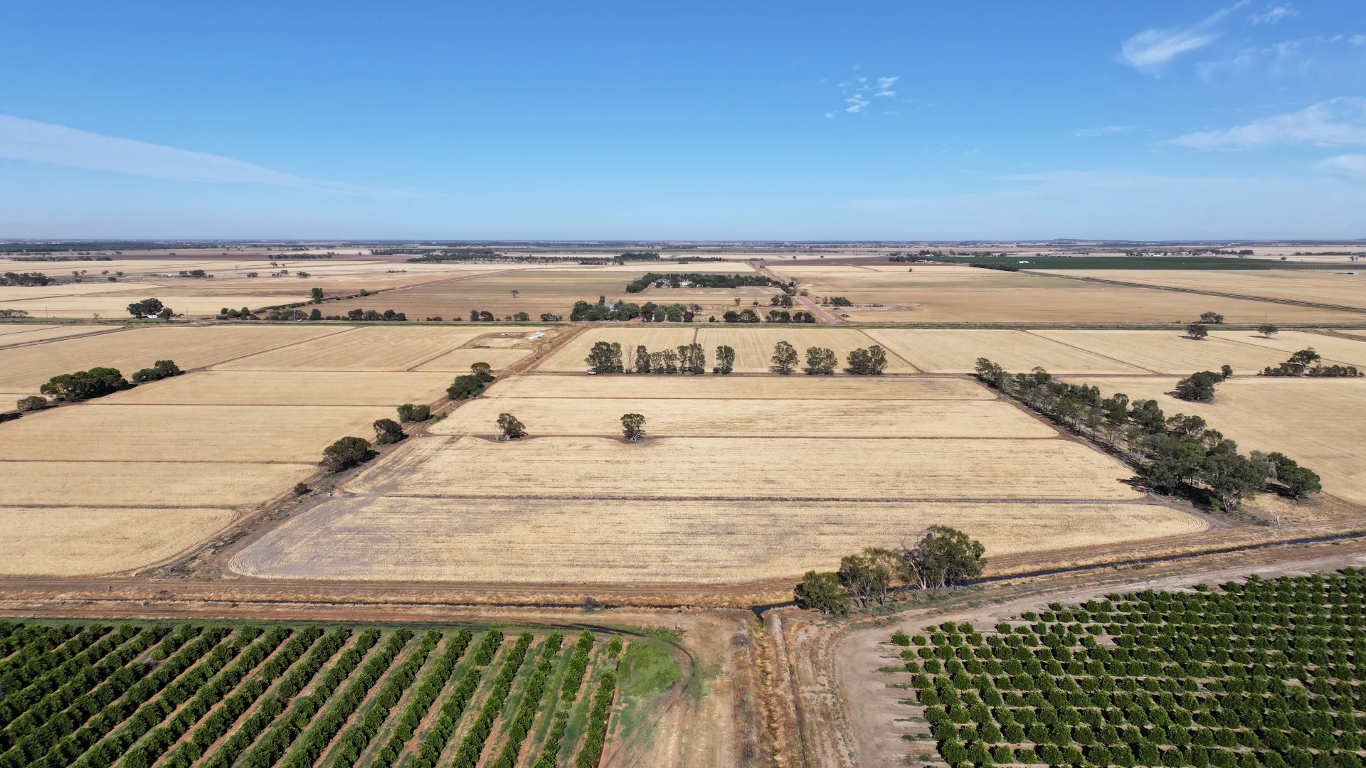 Additional image 8 of Farm 65 Stoney Point Road, Leeton NSW 2705