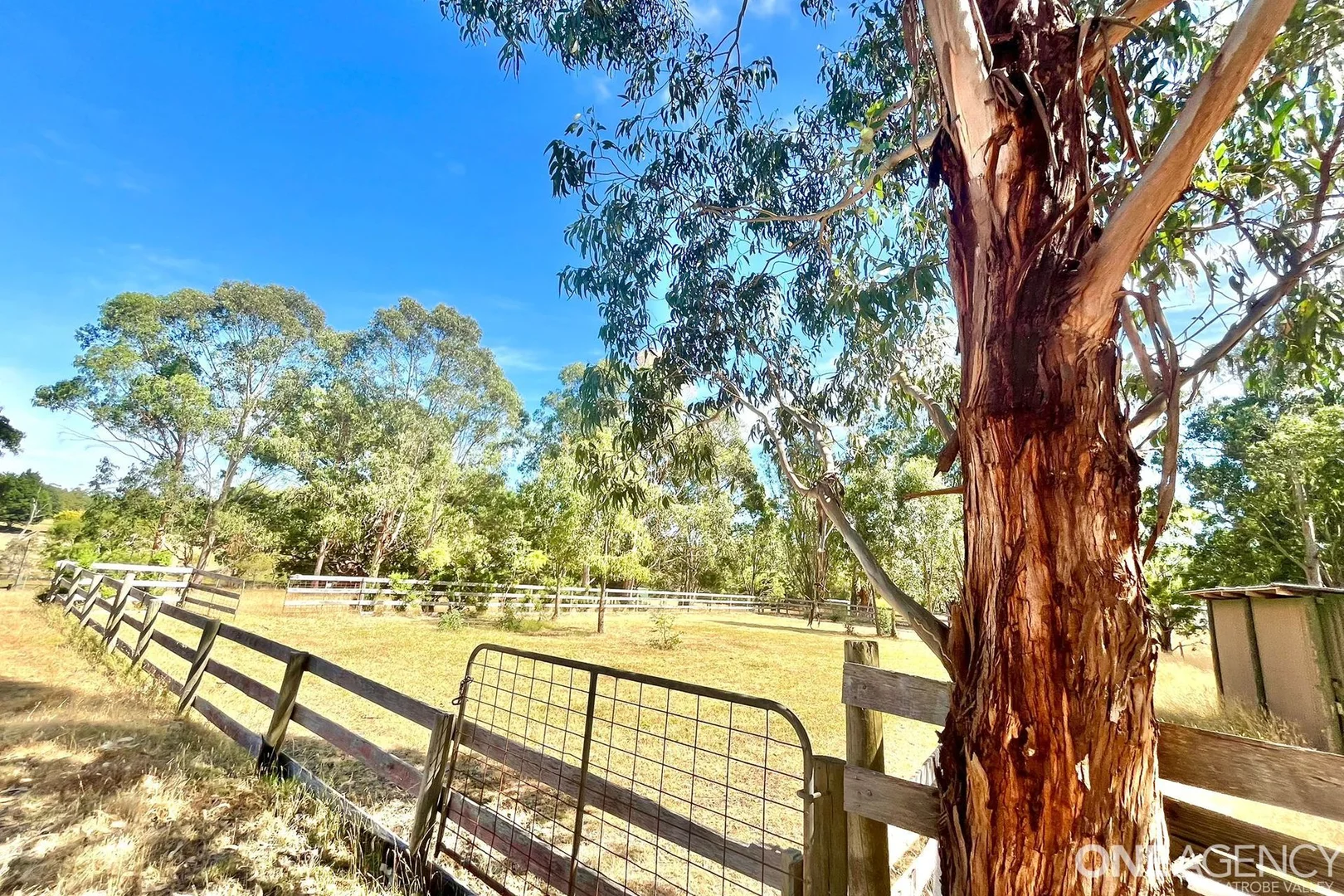 Additional image 41 of 40 Larnach Road, Traralgon VIC 3844