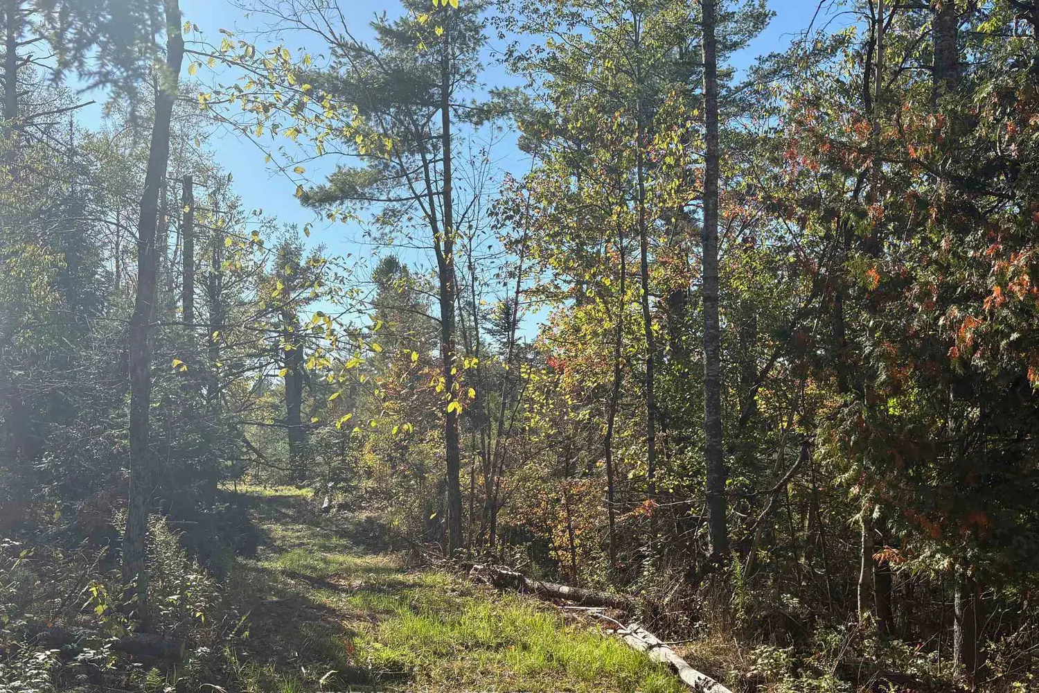 Additional image 11 of N/A Twin Sister Lakes Road