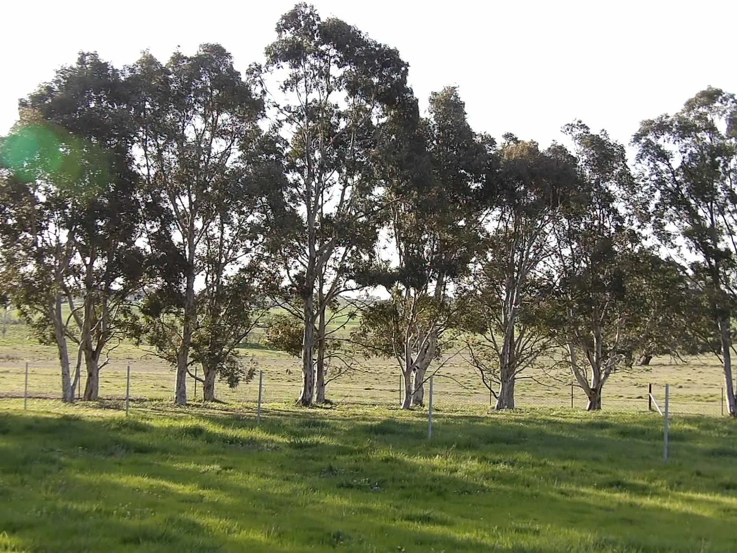 Additional image 7 of 1/56 Hercules Street, Murrumbateman NSW 2582