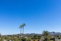 Additional image 19 of 524 Morningside Dr, Vista, CA, 92084