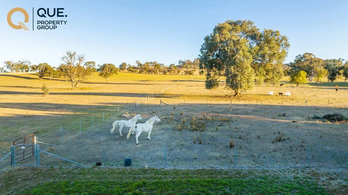 Additional image 33 of 624 Dights Forest Road, Table Top NSW 2640