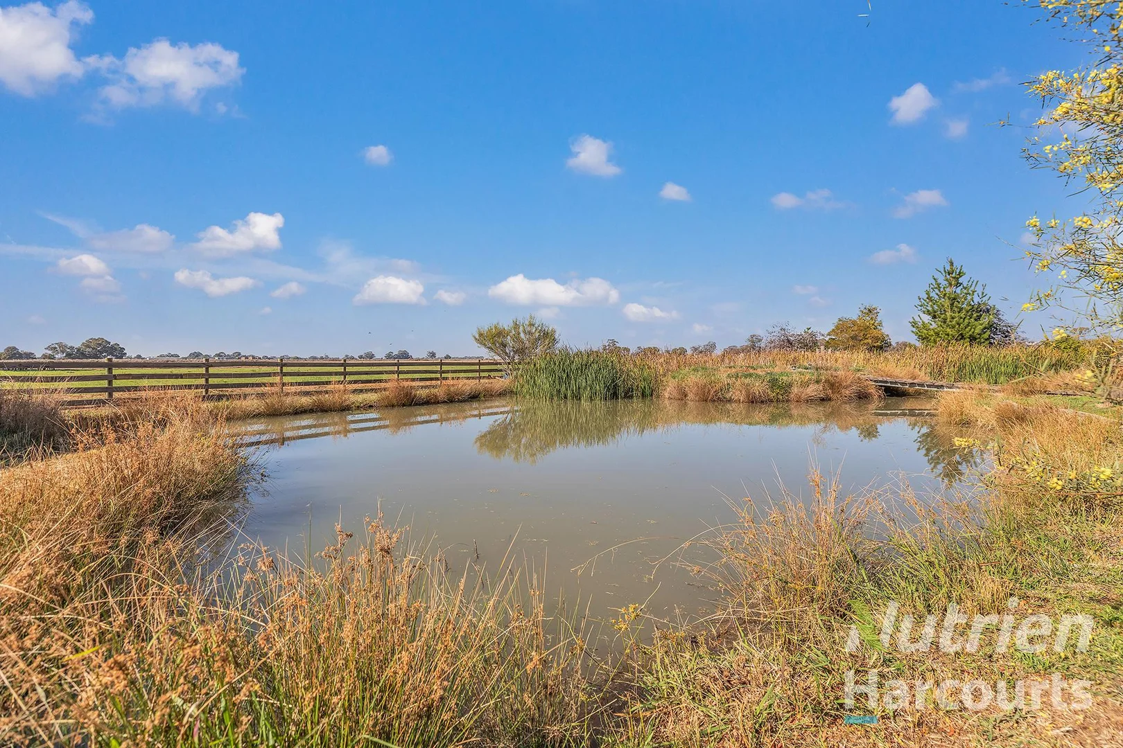 Additional image 44 of 1909 Echuca-Mitiamo Road, Kotta VIC 3565