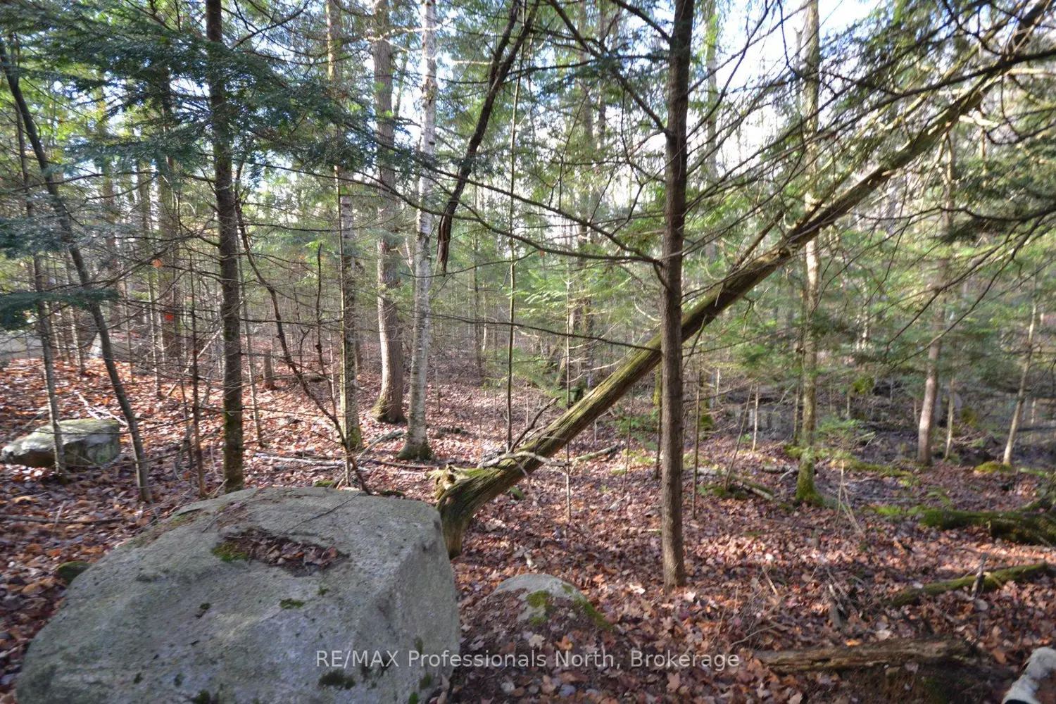 Additional image 6 of 0 Clive Trail