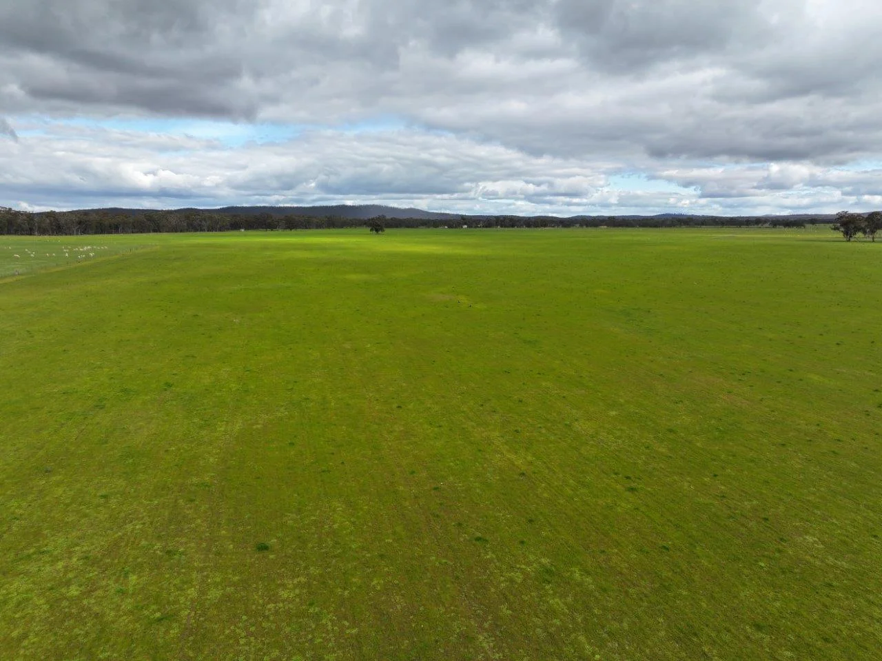 Additional image 15 of - Kurting Kingower Road, Kurting VIC 3517