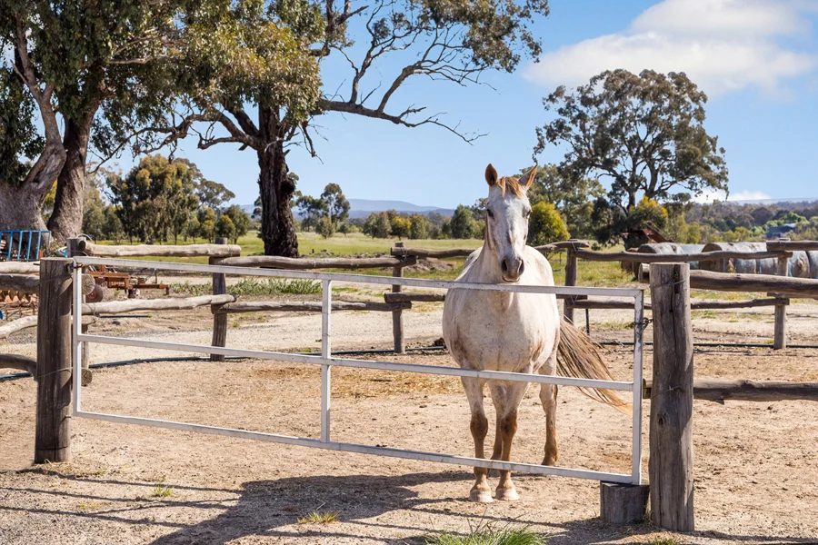 Additional image 24 of 37 Brownes Lane, Axedale VIC 3551