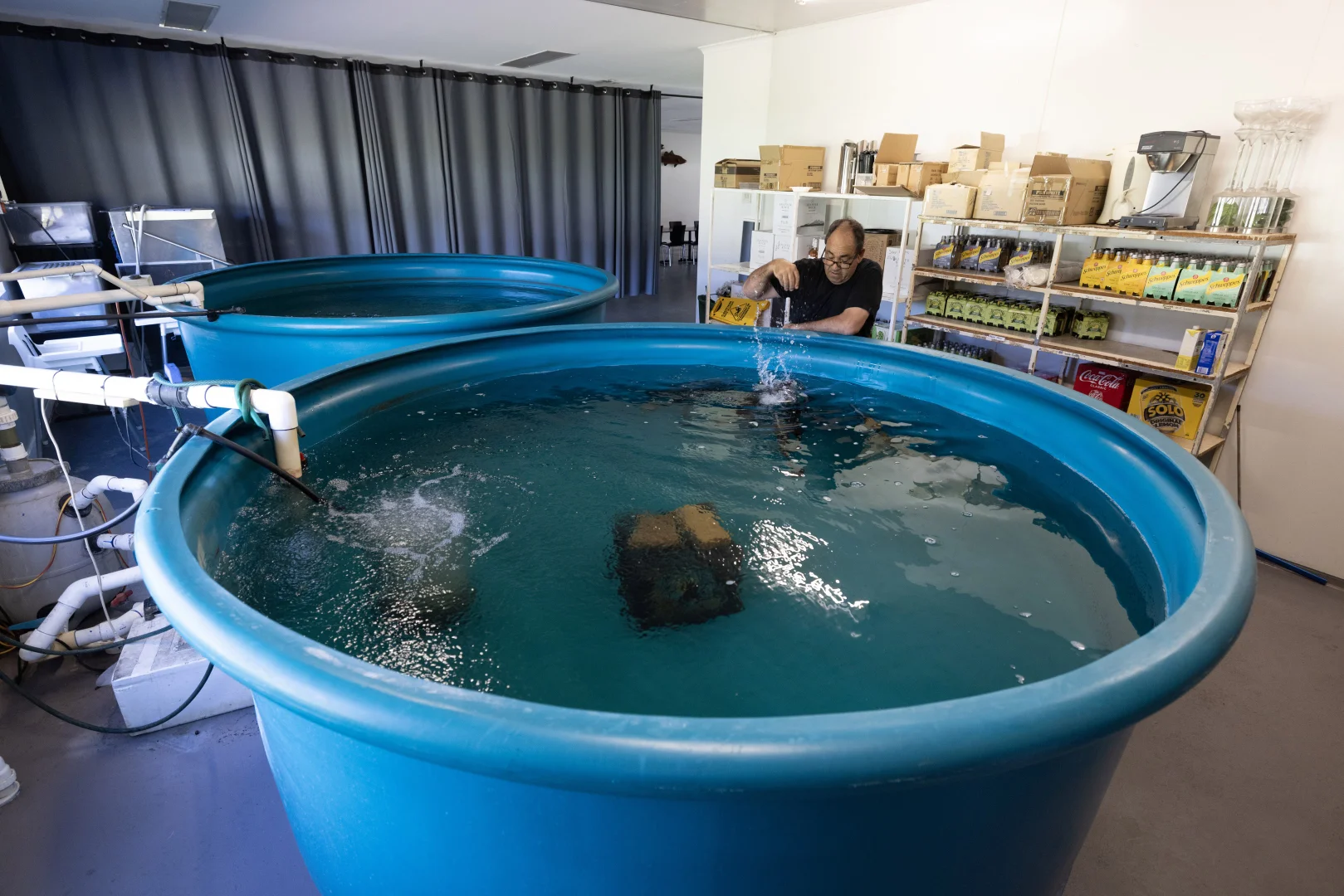 Additional image 17 of 476C Marsh Road, Bobs Farm NSW 2316