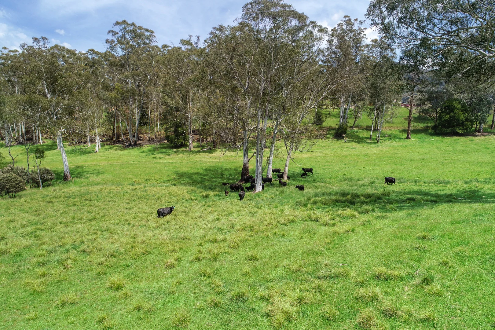 Additional image 4 of Lot 12/61 Spring Street, Howqua Hills VIC 3723