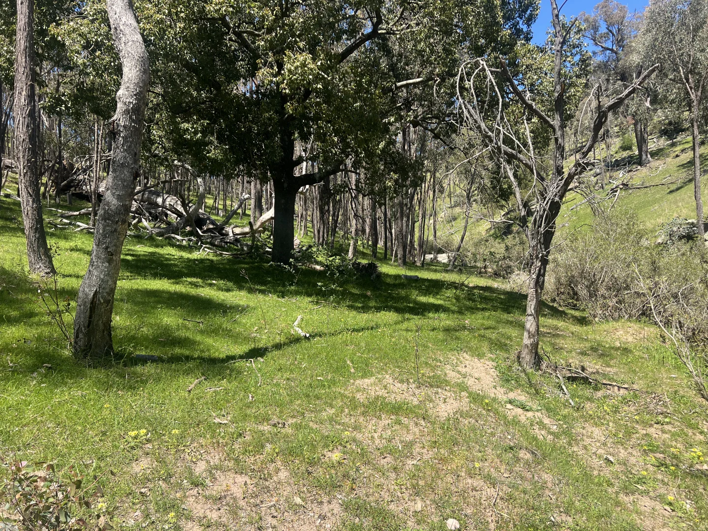 Additional image 6 of 557 Georges Creek Road, Talgarno VIC 3691