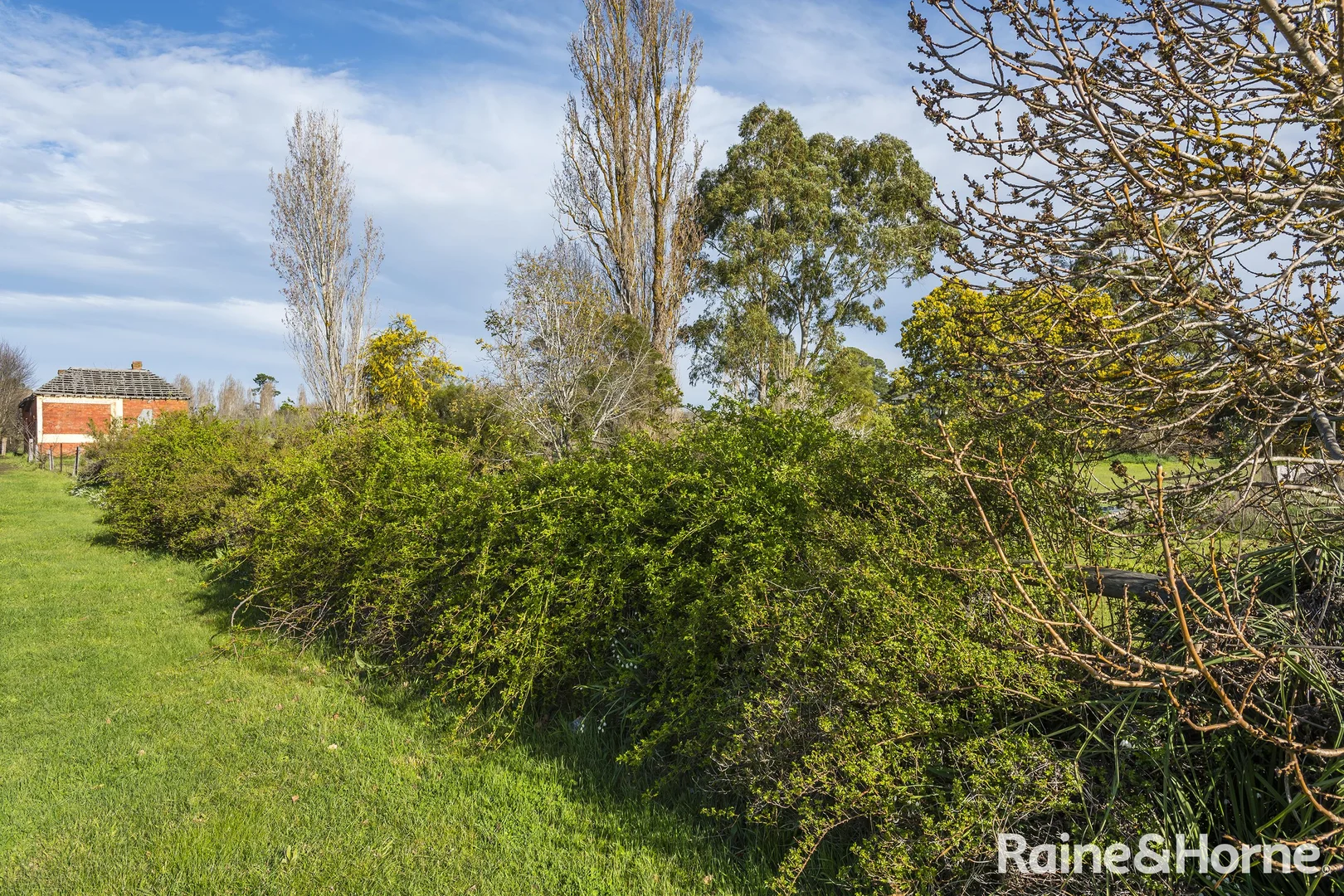 Additional image 6 of Lot 17 Mollison Street, Malmsbury VIC 3446