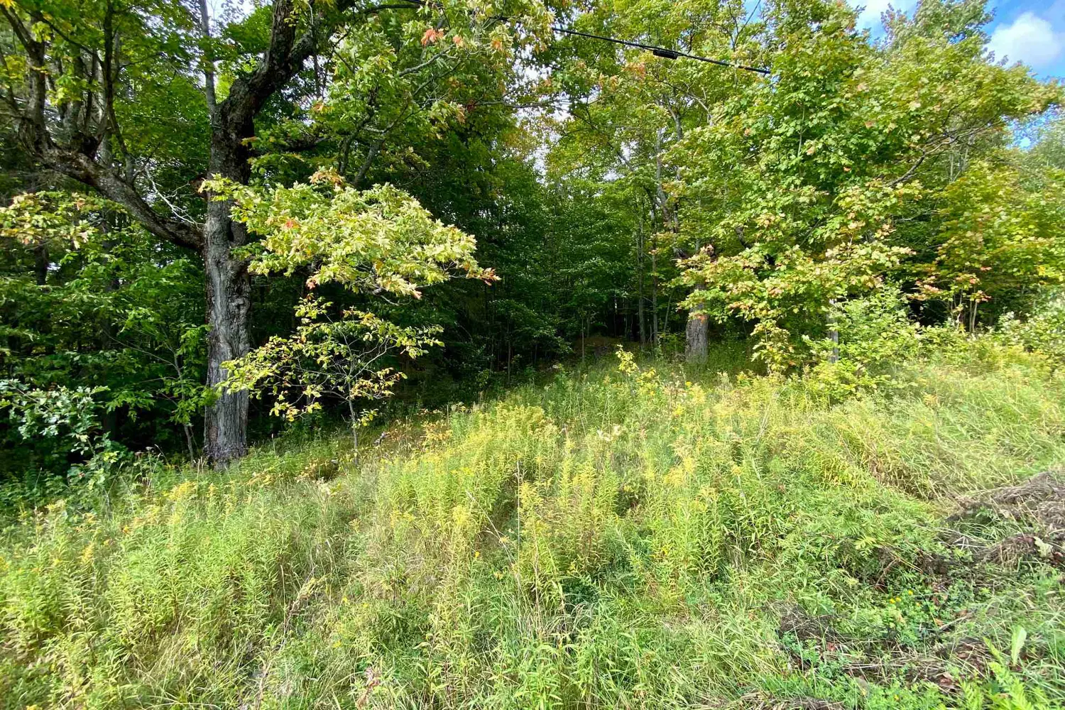 Additional image 4 of 0 Clear Lake Road