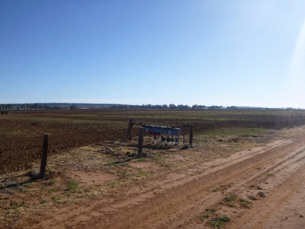 Additional image 3 of Part 619 Dinicola Road, Yoogali NSW 2680