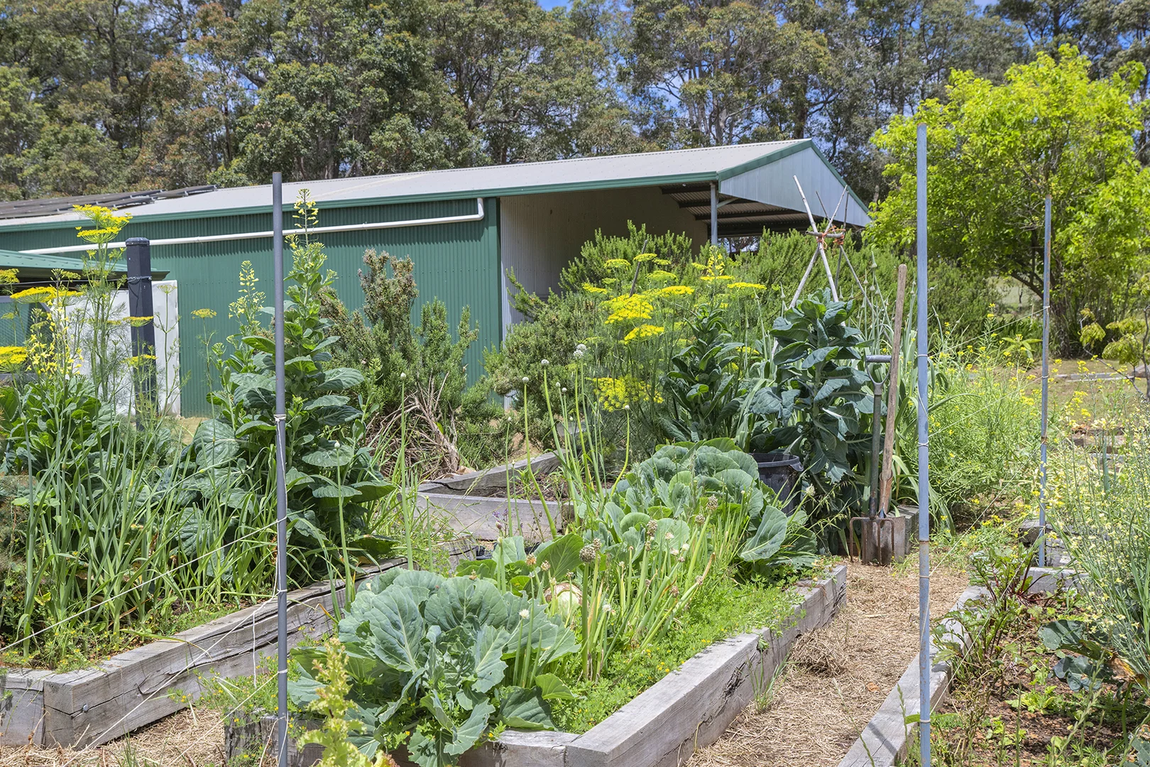 Additional image 17 of 45 Mount Leeuwin Loop Road, Carlotta WA 6275