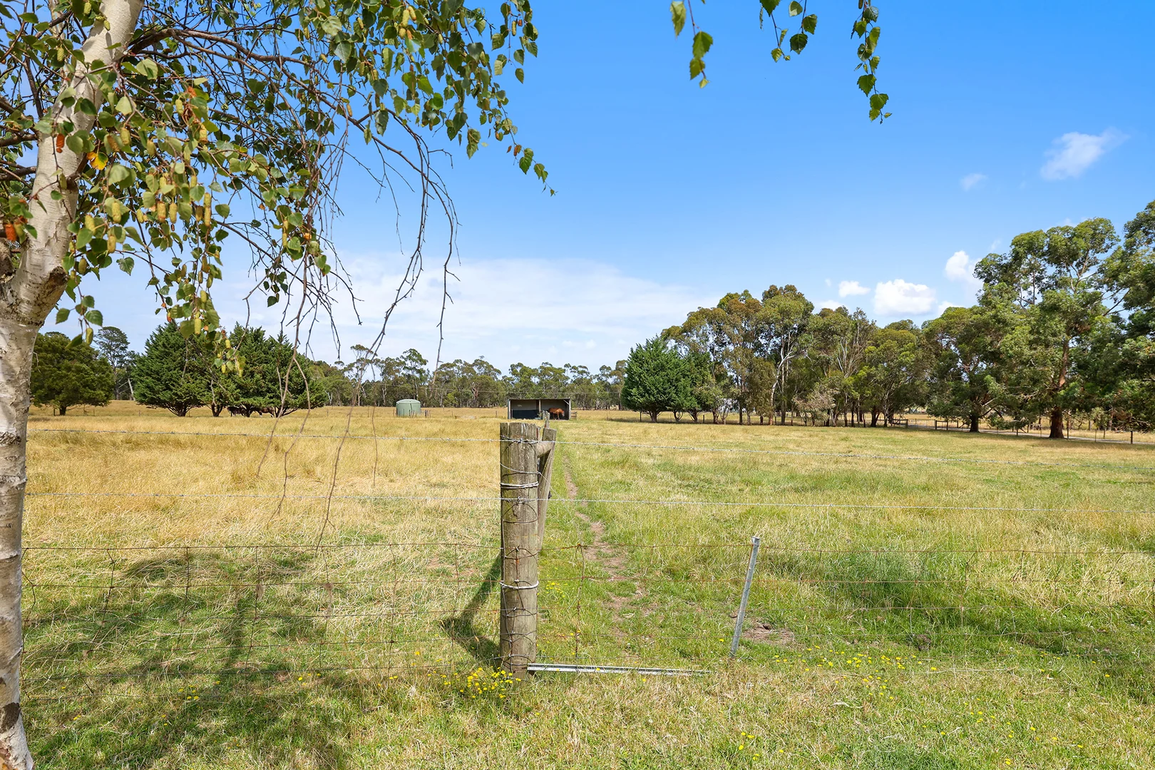 Additional image 23 of 31 Jagoe Road, Ripplebrook VIC 3818