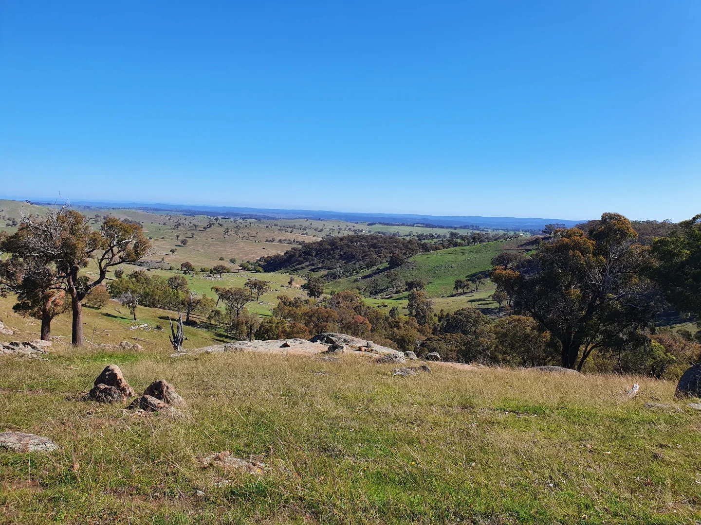 Additional image 9 of 2400 Sapphire Road, Wheeo NSW 2583