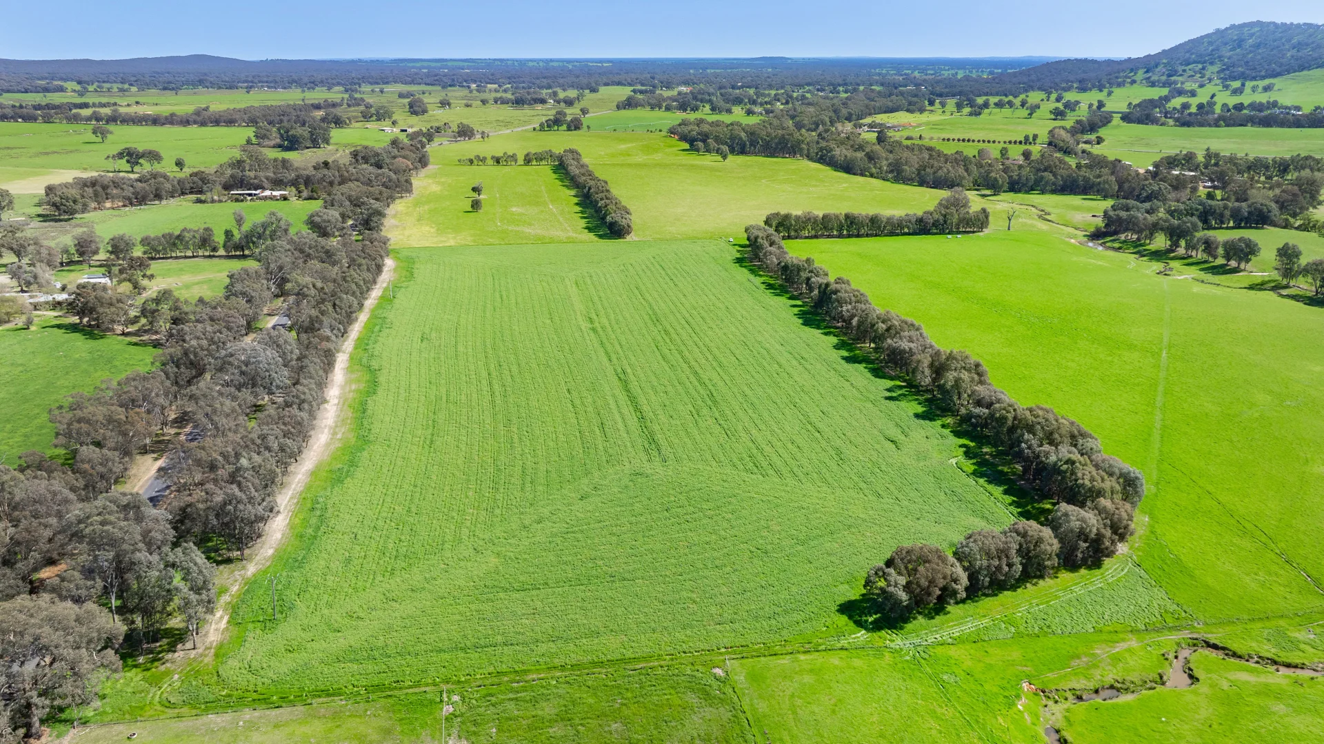 Additional image 19 of 336B Cookinburra Road, Indigo Valley VIC 3688
