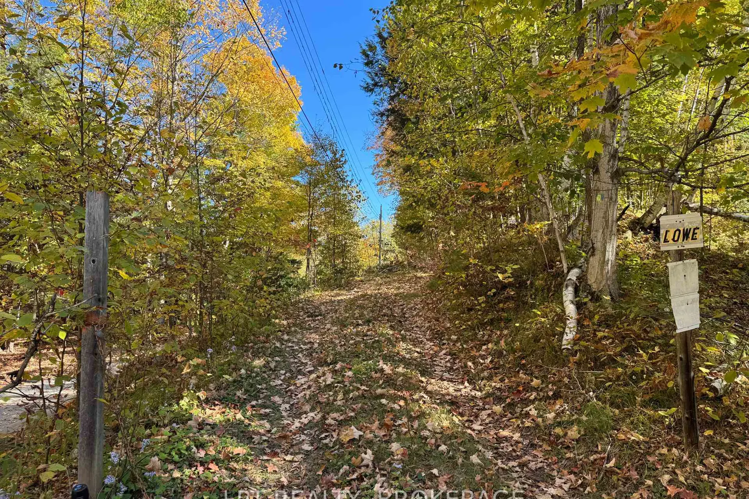 Additional image 14 of 500 Yvon Lane