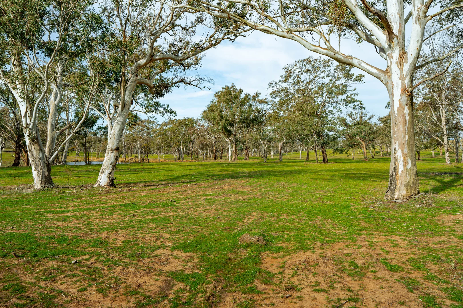 Additional image 16 of 276 Currawang Road, Goulburn NSW 2580